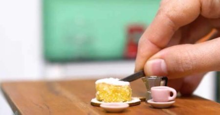 Mini cozinha:comidas feitas em miniatura viram tendência e geram reações intrigantes; vídeo   |   Brasil   |   O Liberal