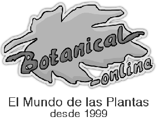 Botanical-online – El Mundo de las plantas