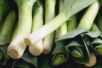 Leek Cooking Tips and Hints