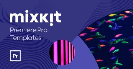Free Video Templates for Premiere Pro | Mixkit