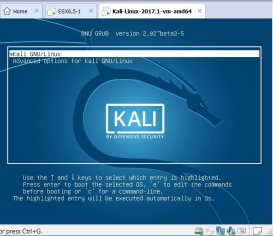 How to Download and Install Kali Linux on VMware