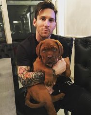 Where is Hulk, Lionel Messi's huge and exclusive dog - The Limited Times