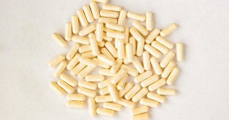 Best Probiotics of 2022 - CNET