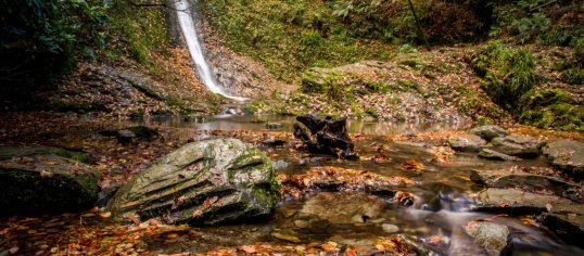 Lydford Gorge | National Trust
