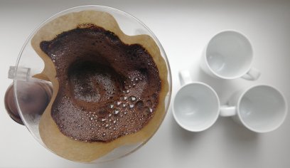 Borra de café: 13 usos incríveis - eCycle