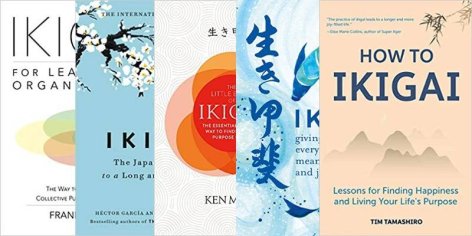 5 Best Ikigai Books to Live a Meaningful Life [+ Summaries]