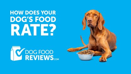All Brands - Dog Food Reviews