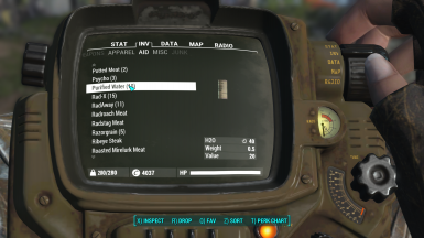 Survive The Wasteland (Hunger Thirst and Fatigue) at Fallout 4 Nexus - Mods and community