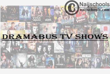 DramaBus TV Shows - Download & Watch Korean TV Shows (K Dramas) with English Subtitles on DramaBusTV.com - NAIJSCHOOLS
