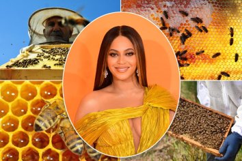 BeyoncÃ© reveals she is raising honey bees at home