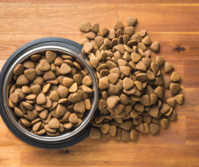 20 Best Quality Dog Foods in 2022 | Discover Magazine