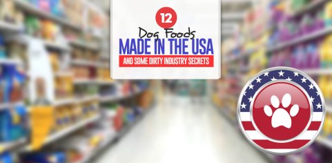 12 Best Dog Foods Actually Made in the USA (2022 Review)