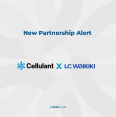 Global Retail Brand LC (Les Copains) Waikiki Joins the Tingg by Cellulant Digital Payment Ecosystem in Zambia - Ventures Africa