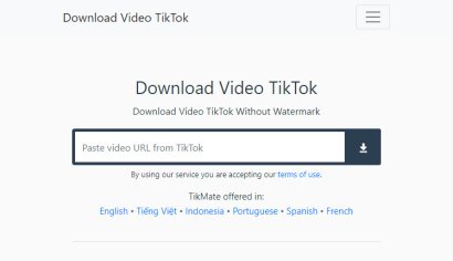 Download video tiktok, Tiktok downloader no Watermark by TikMate