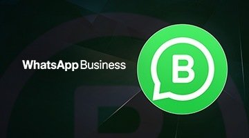 Download & Run WhatsApp Business on PC & Mac (Emulator)