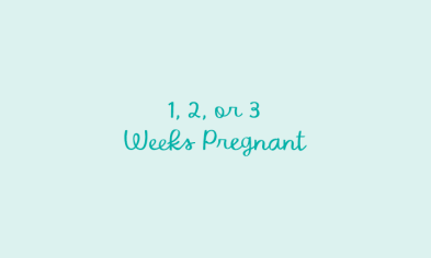 1, 2, or 3 Weeks Pregnant—Early Signs & Symptoms | Pampers