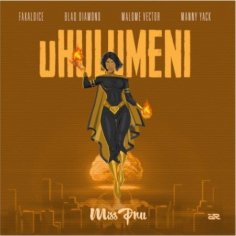 download uhulumeni by blaq diamond