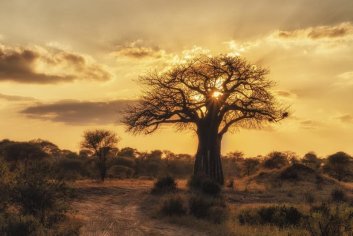 18 Amazing Things to do in Tanzania - Dream Trip | The Planet D