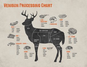 Cuts of Venison, Explained - North American Whitetail