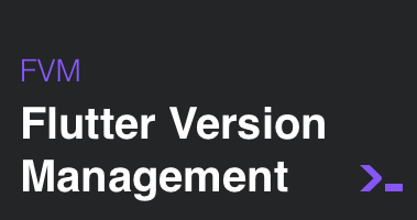 fvm | Flutter Version Management