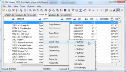DBF Viewer, DBF Editor and dbf file manager