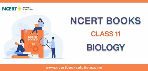 NCERT Book for Class 11 Biology Download PDF free
