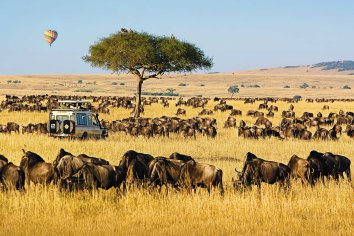 African Safari Tour Companies: World's Best 2021