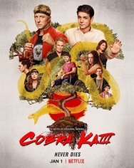 Cobra Kai (season 3) - Wikipedia