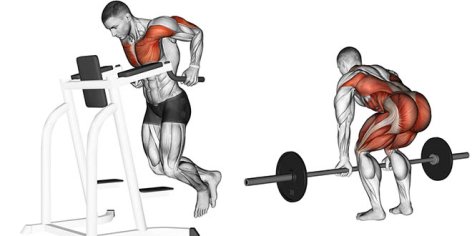 10 Melhores Exercícios para Ganhar Massa Muscular - Treino Mestre