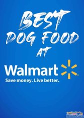 Best Dog Food at Walmart for 2022: Top Brands Recommended!