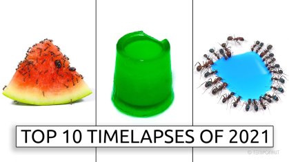 TEMPONAUT Top 10 Timelapses 2021