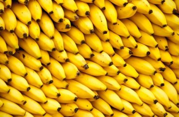 10 benefícios da banana: veja lista e nutrientes da fruta | nutrição | ge