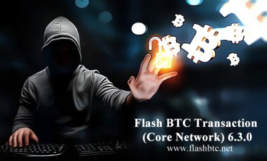 Flash Btc Transaction (Core Network)  - Download