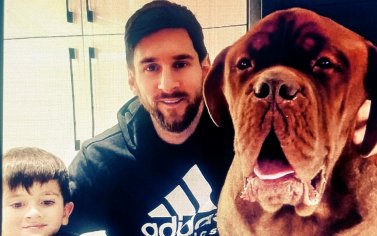 Messi and His Adoration for Dogs Seeker Dogs