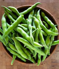 How to Cook Fava Beans - Harvesting and Eating Fava Beans
