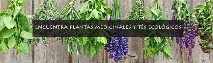 25 tipos de plantas medicinales según su efecto en nuestro cuerpo