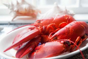 Boiled Lobster Recipe, How to Cook and Eat Lobster