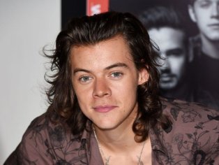 Harry Styles Height, Weight, Age, Affairs, Family, Biography & More » StarsUnfolded