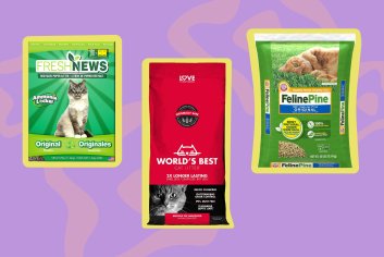 The 6 Best Eco-Friendly Cat Litters of 2022