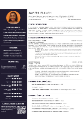 CV Template PDF format with editable easy download - cvonline.me
