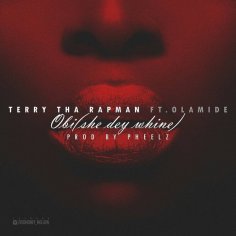 DOWNLOAD MP3: Terry Tha Rapman – Obi (She Dey Whine) ft. Olamide - NaijaVibes