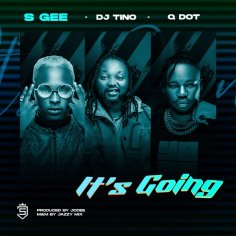 [Music] S Gee Ft. DJ Tino & Qdot - Itâs Going » Naijaloaded