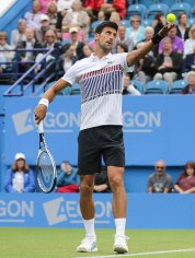 Djokovic–Nadal rivalry - Wikipedia