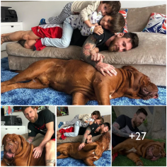 Lionel Messi's Dog, Hulk, Becomes a National Hero in Argentina - srody.com