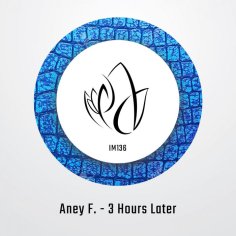 3 Hours Later (Original Mix) by Aney F. on MP3, WAV, FLAC, AIFF & ALAC at Juno Download