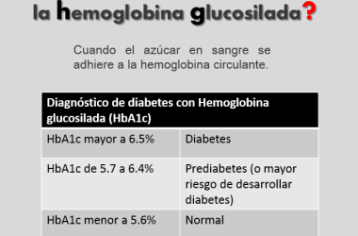 
        Hemoglobina glucosilada, ¿Qué es?        