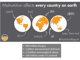 World Child Hunger Facts - World Hunger Education - World Hunger News
