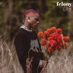 DOWNLOAD: Ckay - Felony — NaijaTunez