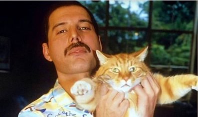 Freddie Mercury cuddled his favourite cat at the end: Beautiful final photo  | Music | Entertainment | Express.co.uk