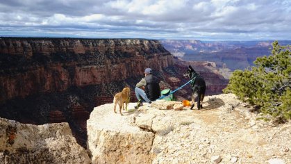 The Most Dog Friendly National Parks in America | GoPetFriendly
